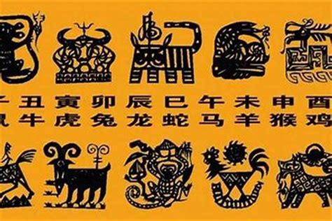 屬龍的名字喜忌|十二生肖取名用字宜忌：属龙起名字